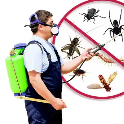pest control Craig Beach